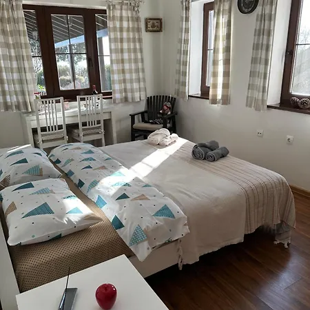 Vera Séjour chez l'habitant